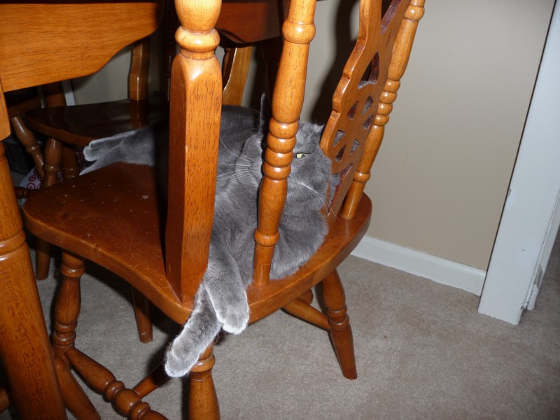 Laying in the chair.JPG